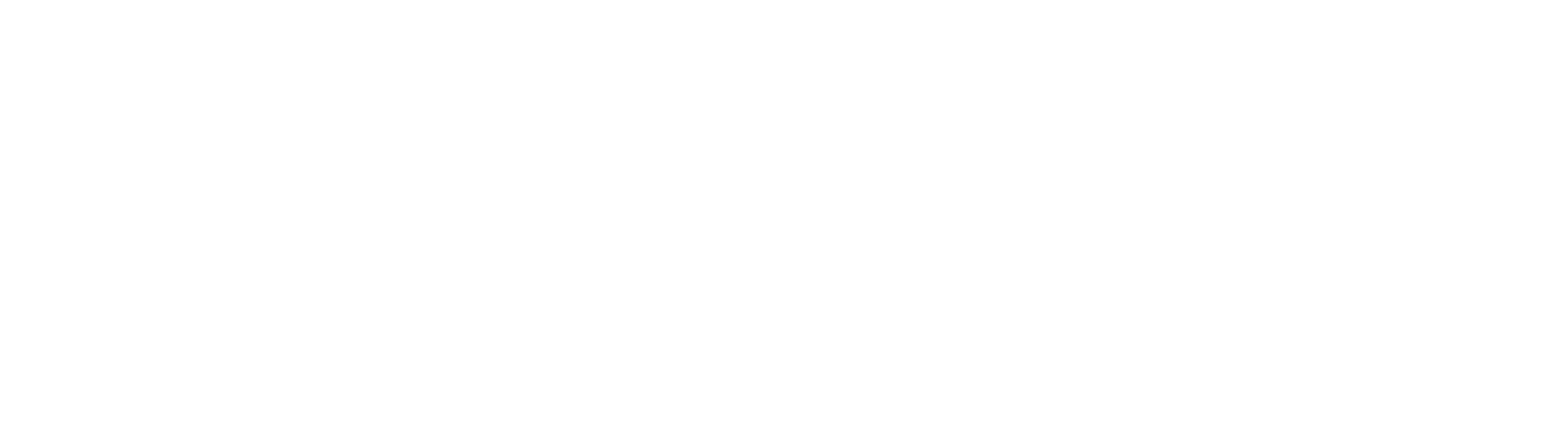 GPT Logo white
