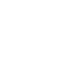 Rice Companies